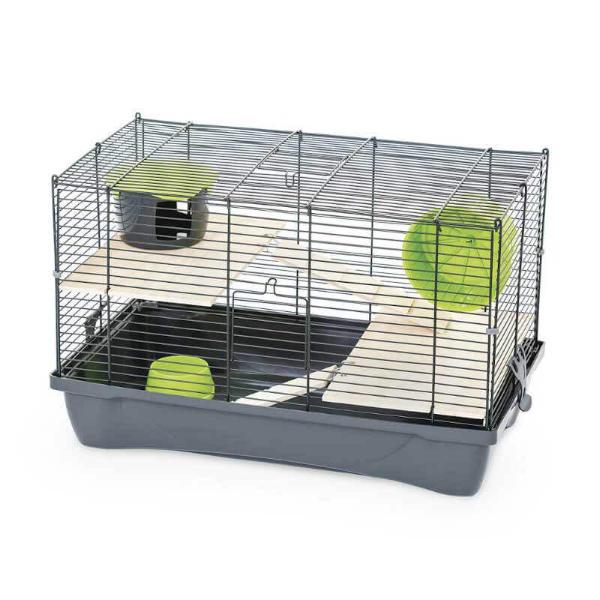 Mps Italian Pet Hamster 11 Flat (Assorted) (57X33X36cm) | Sa Cages ...