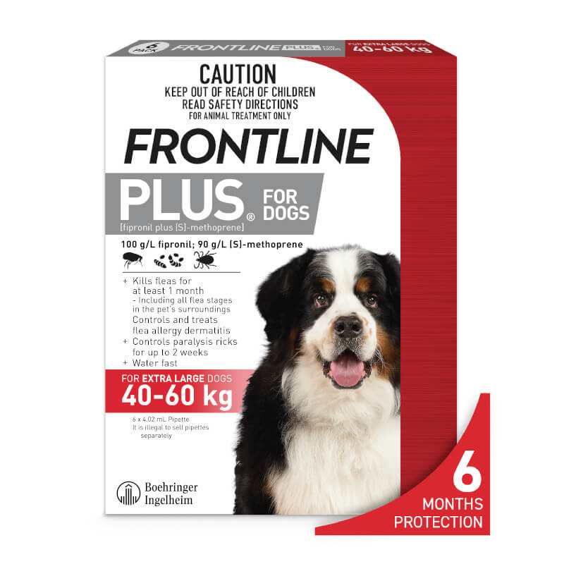 Frontline plus for shih clearance tzu