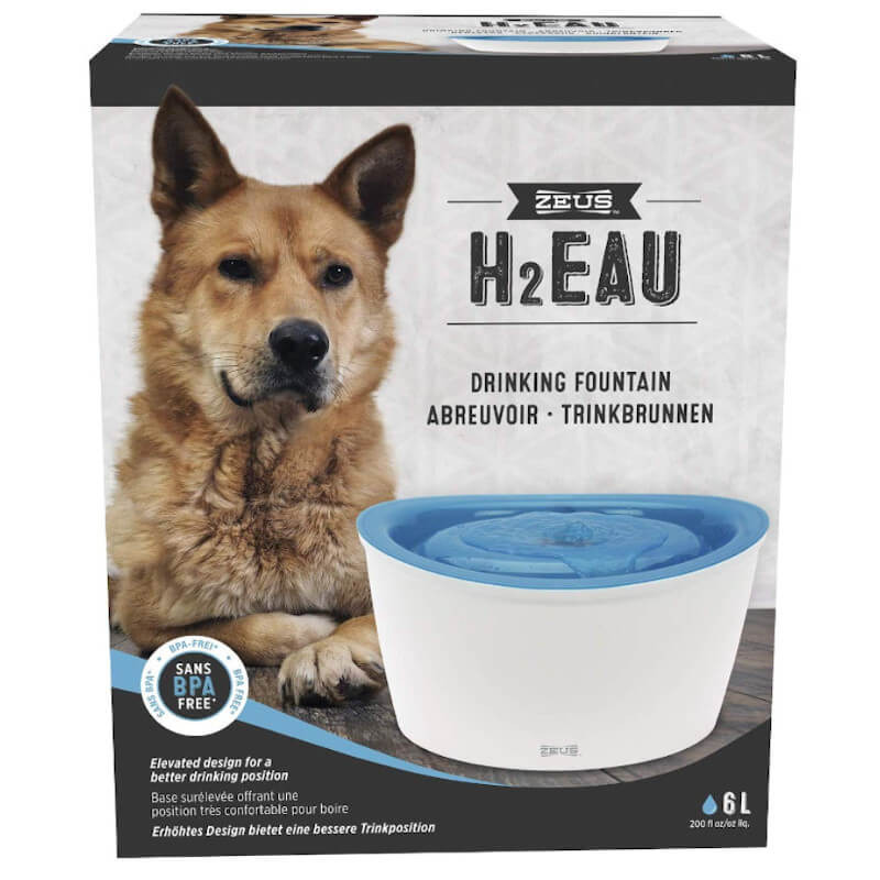 dog feeder timer petsmart