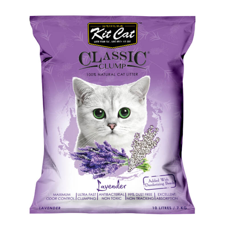 Kitcat Litter 10l Charcoal Singapore Pet Lovers Centre