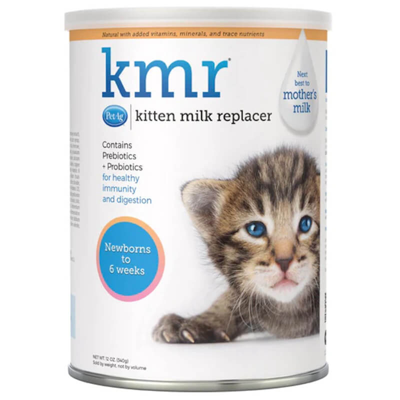 fresh milk for kittens