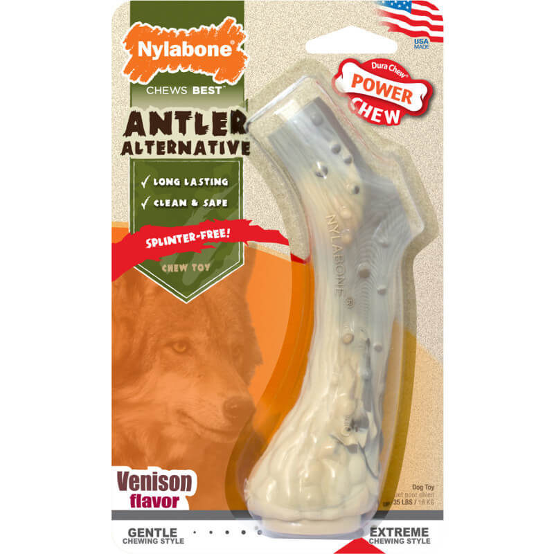 nylabone galileo souper