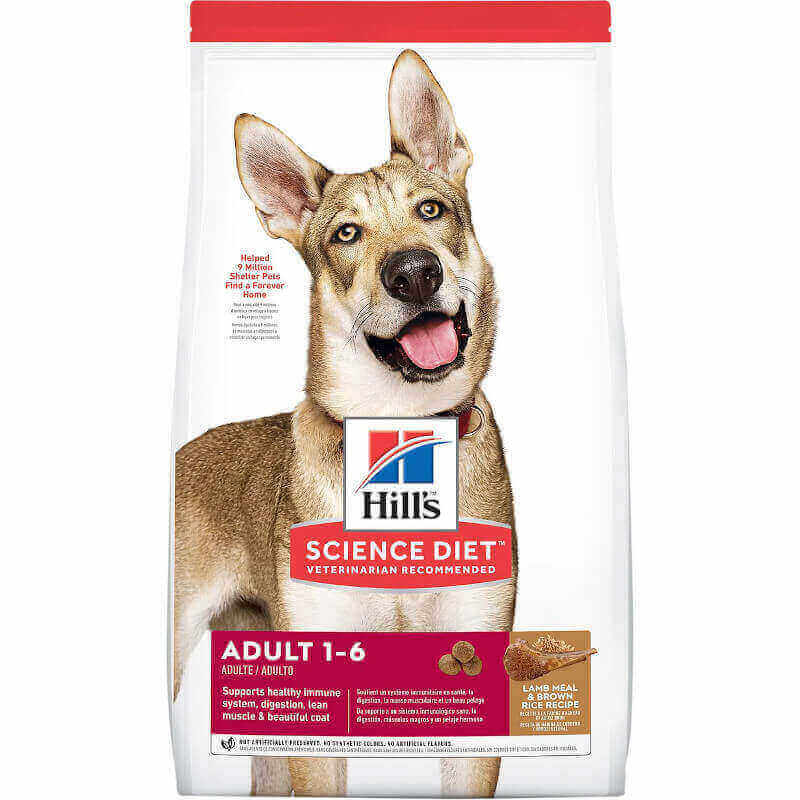 hill's science diet sensitive stomach puppy food