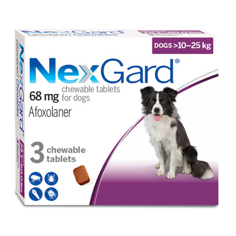 Nexgard shop xl dog