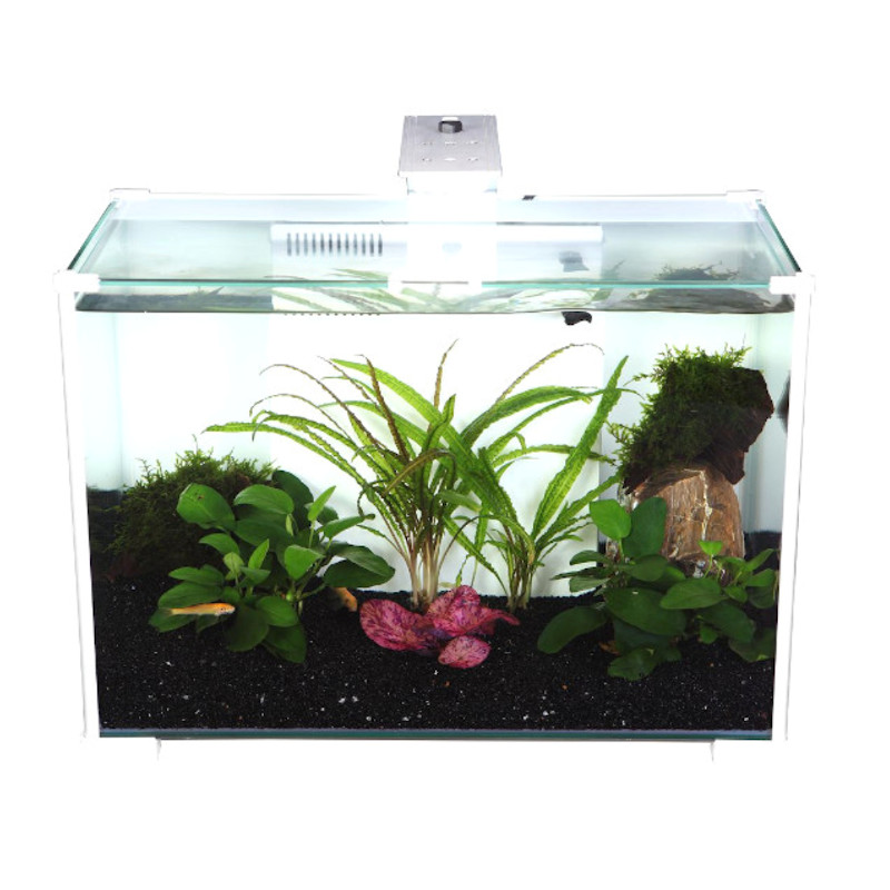 Hailea best sale fish tank