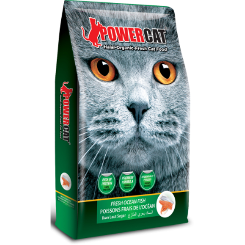 power cat food for kittens