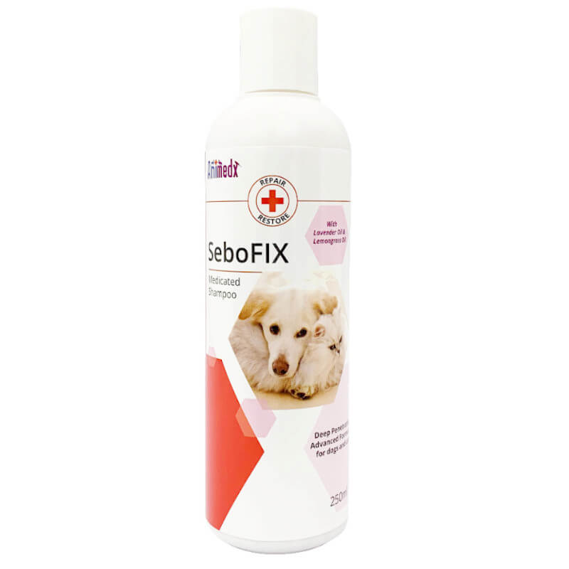 Seleen medicated 2024 shampoo for dogs