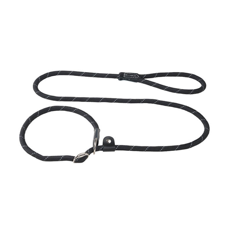 dog slip leash petsmart