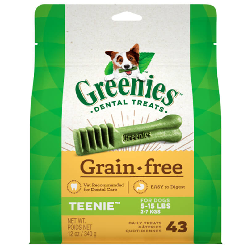 greenies dental treats for dogs