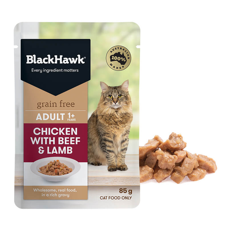 black hawk grain free cat food