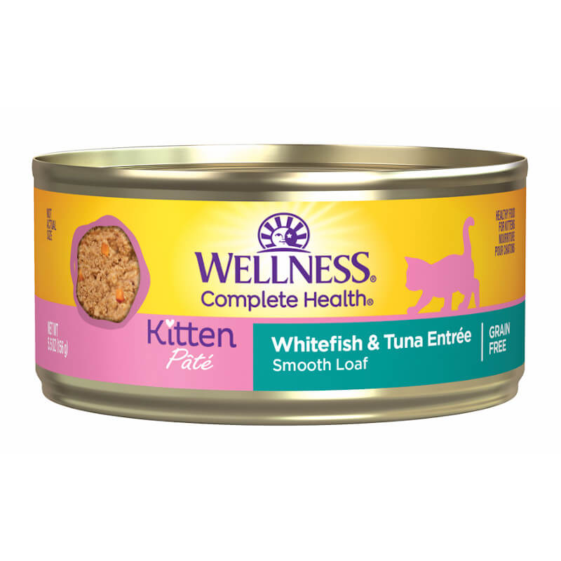 core kitten wet food