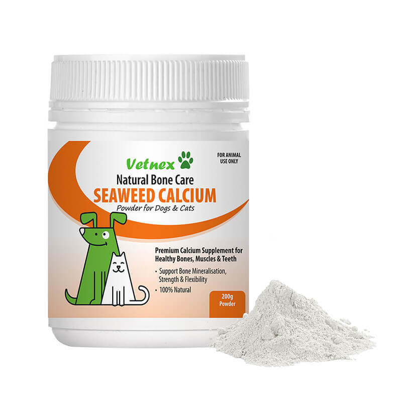 seaweed powder for dogs teeth