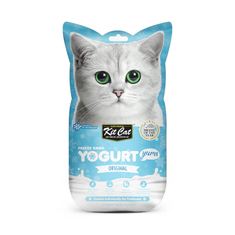 Giving cats outlet yogurt