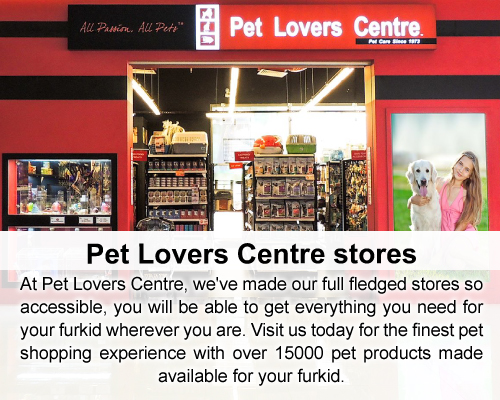 pet lovers raffles city