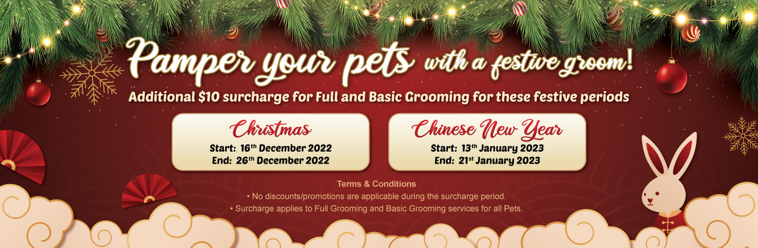 Web Banner XmasCNY Surcharge2022 